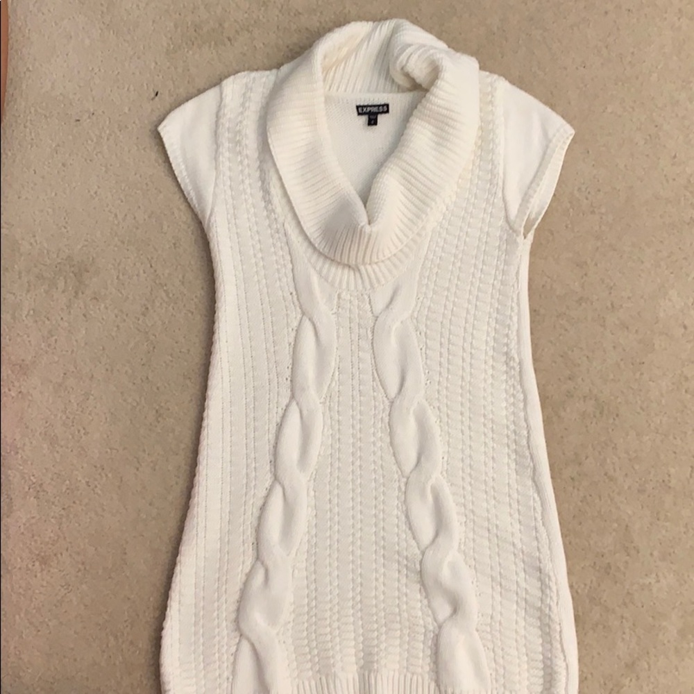 Express cowl neck sweater dress